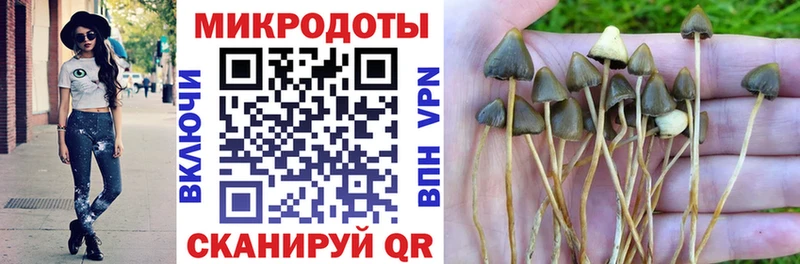 Галлюциногенные грибы Magic Shrooms  купить  цена  Южно-Сухокумск 
