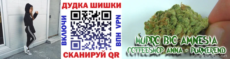 Каннабис SATIVA & INDICA Южно-Сухокумск